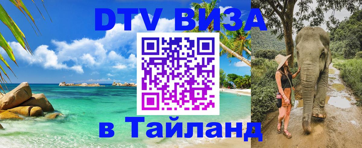 Оформление DTV визы под ключ: стоимость и тарифы, только загранпаспорт - 03.10.2025 